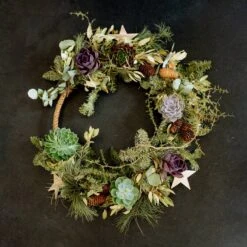 Schnittecheverien-Mix, Ø 12 Cm, 4er-Set -Compo Geschaft 0250103364 Echeveria Mix 7 10cm in DIY Box 5 117175 1