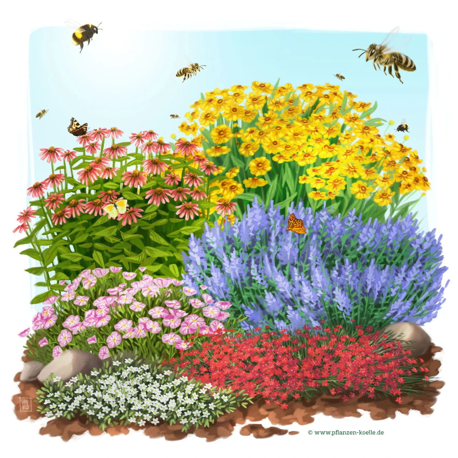Insektenfreundliches Stauden Set, 18 Pflanzen Für 3 M², Bunt 3 Insektenfreundliches Stauden Set, 18 Pflanzen Für 3 M², Bunt