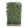 Hecke Am Laufenden Meter® Efeu, 120x180 Cm -Compo Geschaft 0440100721 Hedera helix Woerneri 180cm hoch 120cm breit 34514