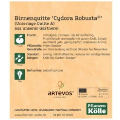 Bio Birnenquitte 'Cydora Robusta'Ⓢ, Topf 10 Liter 11 Bio Birnenquitte 'Cydora Robusta'Ⓢ, Topf 10 Liter -Compo Geschaft 0480300060 Koelle Bio Cydora Robusta Birnenquitte Busch 2 119768