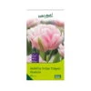 Tulpen 'Foxtrott', Rosa, 40 Blumenzwiebeln -Compo Geschaft 0720100846 KB Gefuellte fruehe Tulpen Foxtrot rosa 107153