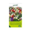 Überraschungsmischung Bauerngarten 75 Blumenzwiebeln -Compo Geschaft 0720800123 kb ueberraschungsmischung bauerngarten 114240
