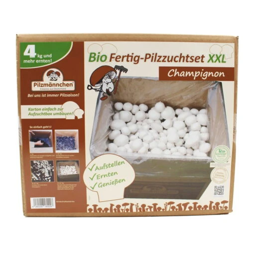 Bio Fertig-Pilzzuchtset Champignon 6 Bio Fertig-Pilzzuchtset Champignon -Compo Geschaft 0740400018 BIO Fertig Pilzzuchtset Champignon 1 93694
