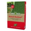 Rasensamen Für Nachsaat-Mantelsaat, 1 Kg 1 Rasensamen Für Nachsaat-Mantelsaat, 1 Kg -Compo Geschaft 0750100127 Greenfield Nachsaat Mantelsaat Mantelsaat Vital 1kg 108115