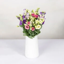 Gemischter Blumenbund 'Lisianthus' Inkl. Gratis Grußkarte -Compo Geschaft 1015700001 Lisianthus Mix 10er Bund weiss blau rosa WS 2 94400