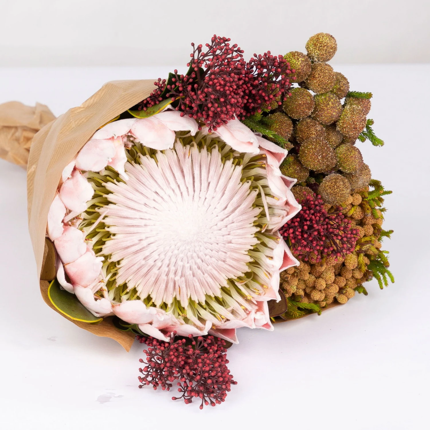 Blumenbund Protea King Mit Skimmie Und Kapgrün, Inkl. Gratis Grußkarte 6 Blumenbund Protea King Mit Skimmie Und Kapgrün, Inkl. Gratis Grußkarte – Bild 4