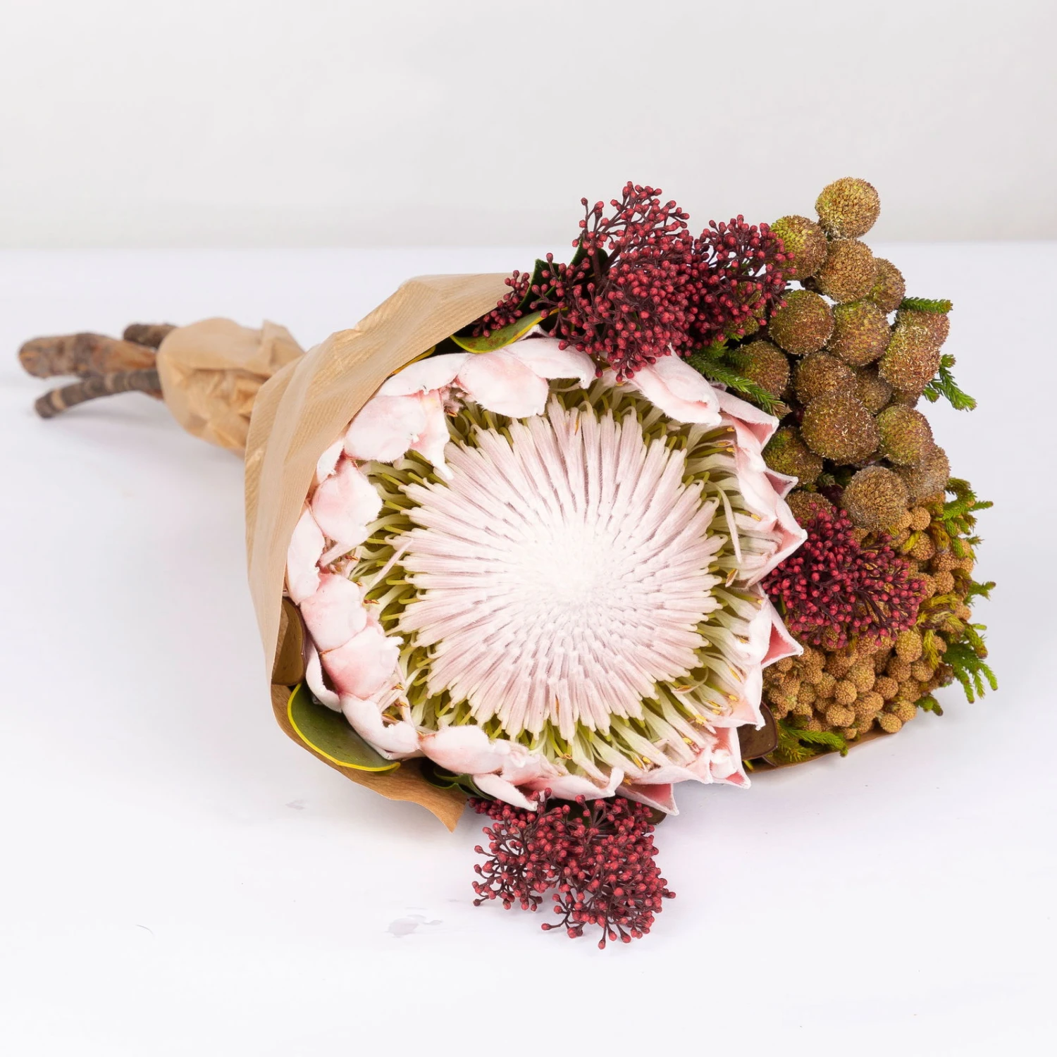 Blumenbund Protea King Mit Skimmie Und Kapgrün, Inkl. Gratis Grußkarte 4 Blumenbund Protea King Mit Skimmie Und Kapgrün, Inkl. Gratis Grußkarte – Bild 2