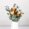 Blumenbund Protea & Eukalyptus, Inkl. Gratis Grußkarte 1 Blumenbund Protea & Eukalyptus, Inkl. Gratis Grußkarte -Compo Geschaft 1025700019 Strauss Protea Grandiflora 1 1 101680