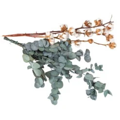 Eukalyptus Getrocknet Und Baumwolle, 2er-Set -Compo Geschaft 1055300002 Euca natur Baumwolle 2er Set 1 83030