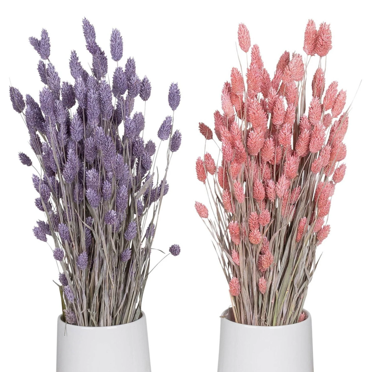 Lila & Rosa Glanzgras, 2er-Set, Länge Ca. 70 Cm 3 Lila & Rosa Glanzgras, 2er-Set, Länge Ca. 70 Cm