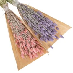 Lila & Rosa Glanzgras, 2er-Set, Länge Ca. 70 Cm 6 Lila & Rosa Glanzgras, 2er-Set, Länge Ca. 70 Cm -Compo Geschaft 1055300007 Phalaris 2er Set rosa und lila 2 83168