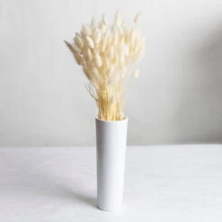 Samtgras Im Bund, Gebleicht Und Getrocknet, Ca. 65 Cm 7 Samtgras Im Bund, Gebleicht Und Getrocknet, Ca. 65 Cm -Compo Geschaft 1055300010 Lagurus gebleicht 2 89168