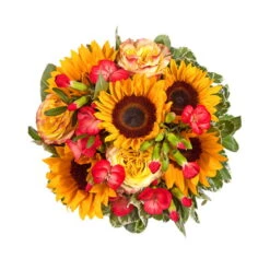 Blumenstrauß 'Viel Glück' Inkl. Gratis Grußkarte 9 Blumenstrauß 'Viel Glück' Inkl. Gratis Grußkarte -Compo Geschaft 1110600042 Sommer Orange D28cm 2 6662