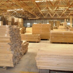 Bio Blauglockenbaum, Co2-Klimabaum 'NordMax21‘ ®, Topf-Ø 15 Cm -Compo Geschaft 1615100163 Blu Klimabaum 4 121718