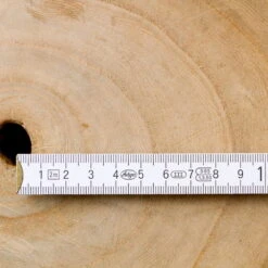 Bio Blauglockenbaum, Co2-Klimabaum 'NordMax21‘ ®, Topf-Ø 15 Cm -Compo Geschaft 1615100163 Blu Klimabaum 5 121717